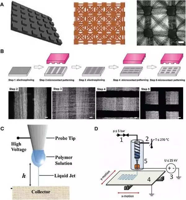 天津大学仰大勇团队综述:生物功能电纺纳米材料——从拓扑结构设计到生物应用的图8